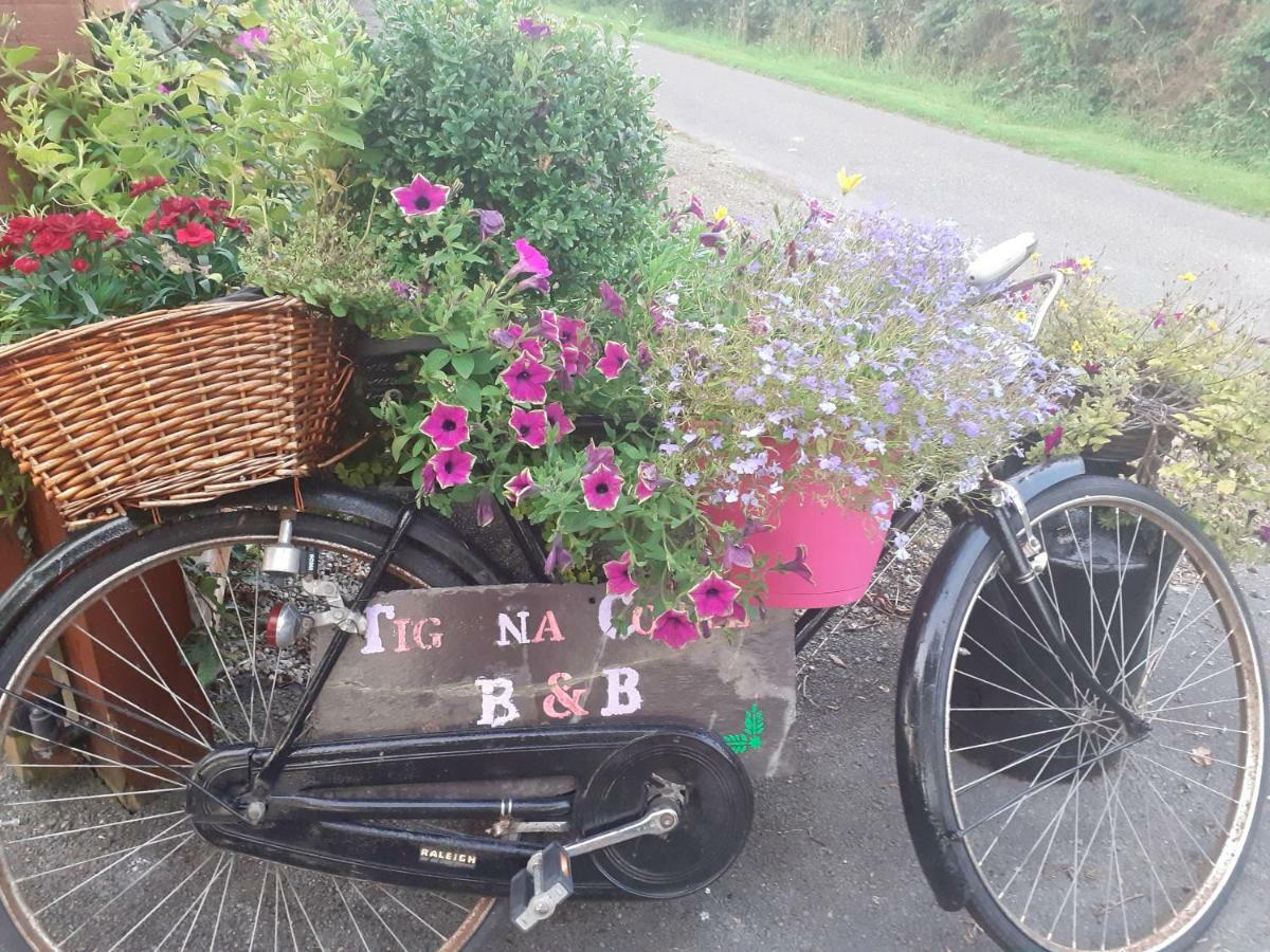 Tig Na Coille B&B Country House Kilkenny Exterior photo